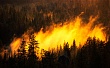 В лесах Краснодарского края наступил пожароопасный сезон 